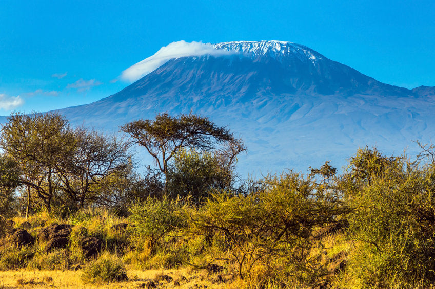 Famous Gems and Beaded Jewelry: Queen of Kilimanjaro