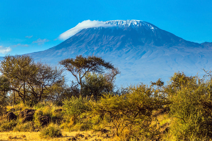 Famous Gems and Beaded Jewelry: Queen of Kilimanjaro