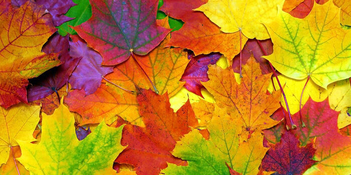 A Fall Color Palette in Gemstones…